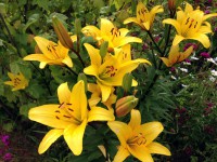 /album/fotogalereya/img-2278-jpg/
