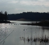 /album/fotogalereya/img-7504-jpg/