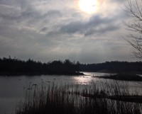 /album/fotogalereya/img-7514-jpg/